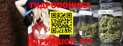 наркотики Аргун